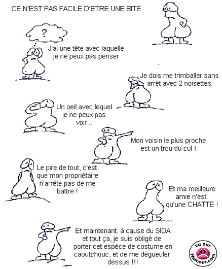 Etre une BITE